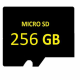 SD MICRO 256GB Surveillance High-End