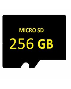 SD MICRO 256GB Surveillance High-End