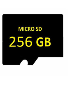 SD MICRO 256GB Surveillance entry level