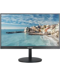 MONITOR DS-D5022FN-C